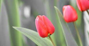 Obituaries for Tuesday, August 7