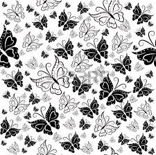 Background Border Design Black And White Butterfly Wall Paper From Black And White Butterflies On A White Background White Butterfly Black And White Background Black And White