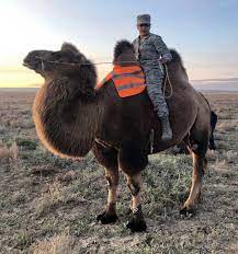 There are broadly two categories of workers— those who prefer to do today what they can do tomorrow, and those who prefer to do tomorrow what they can do. Midnight Sun Guardians Train In Mongolia For Gobi Wolf 2019 National Guard State Partnership Program News The National Guard