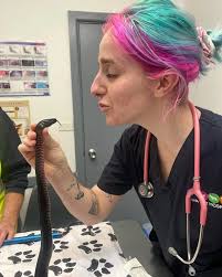 👩🏻‍⚕️ Dr Amanda Brett (@strangecreaturesvet) • Instagram photos and videos