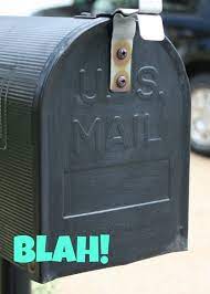 We did not find results for: Diy Vinyl Mailbox Numbers That S What Che Said
