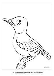 Birds coloring page to download. Baby Bird Coloring Pages Free Birds Coloring Pages Kidadl