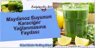 Maydanoz Suyunun Karaciger Yaglanmasina Faydasi Blog Bilgi Yazarlar