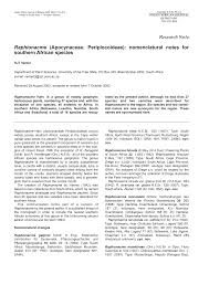 Image result for Raphionacme monteiroae