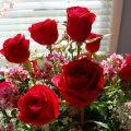 حل مشكل ظهور الكتابة في pdf على شكل رموز youtube. ÙˆØ±Ø¯ Ø¹Ù„Ù‰ Ø´ÙƒÙ„ Ù‚Ù„Ø¨ Ø§Ø¬Ù…Ù„ ÙˆØ±ÙˆØ¯ Ù…Ø´ÙƒÙ„Ø© Ø¹Ù„Ù‰ ØµÙˆØ±Ø© Ù‚Ù„Ø¨ Ù…Ø³Ø§Ø¡ Ø§Ù„Ø®ÙŠØ±