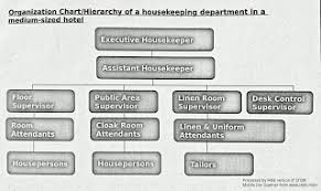 Housekeeping Department Hierarchy In Small Medium Large