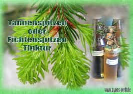 Tannenspitzen Fichtenspitzen Tinktur Die Anwendung Als Heilpflanze Wurde Bereits In Den Fruhesten Jahrhunderten Beschrieben Tinktur Heilpflanzen Pflanzen