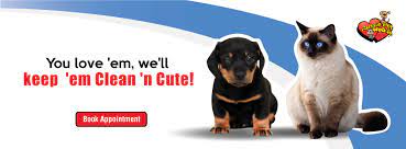 The handlers treat these animals as lovingly and as careful as you would, thus ensuring of course one of the major concerns is the cost for petco services and products. Aussie Pet Mobile Katy Home Facebook
