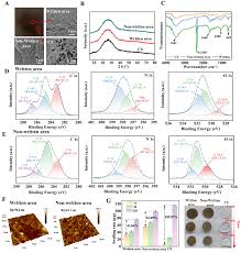 Image result for pentagram freezone cu 120