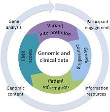 Medical testing center for specialized testing ordered to screen for health issues and diagnose diseases. Implementation Of Genomics In Medical Practice To Deliver Precision Medicine For An Asian Population Npj Genomic Medicine