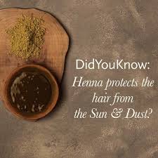 Simply go to indigo.ca and select gift card from the menu. How To Use Henna And Indigo Powder As Natural Hair Dye Kama Ayurveda