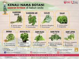 1999, institut penyelidikan dan kemajuan pertanian malaysia. Nam University Community Transformation Centre Uctc Upm Facebook