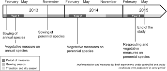 Image result for Crepidorhopalon spicatus