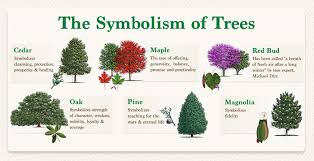 Maybe you would like to learn more about one of these? Remembrance And Celebration Trees Fannin Tree Farm