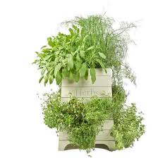 how to decorate outdoor pots of plants