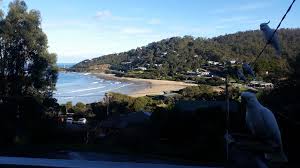 We did not find results for: The Drift 27 Wallace Ave Wye River Vic 3234 Australia