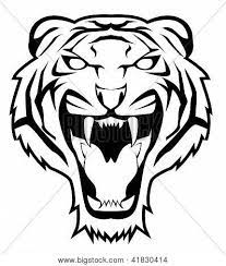 Tiger Face Eps Editable Vector Of Illustration Design Poster Id 41830414 Tiger Face Tiger Stencil Illustration Design Poster