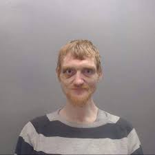 Найдите больше постов на тему wish meme. The Daily Meme When You Order Ed Sheeran From Wish Facebook