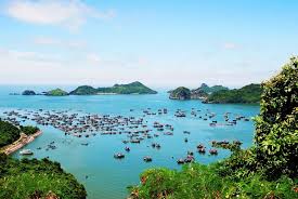 Yes, ha long bay (7245 e tanque verde rd) delivery is available on seamless. Great Northeast Vietnam Motorbike Tours Via Ha Long Bay