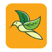 The game allows you to transform into a crow and explore . Fly Vpn 1 0 3 Apk Ai Flyvpn App Apk Download