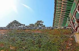 8월 8일 토요일에 2020년의 세 번째 한국사능력검정시험이 치러졌다. í•œêµ­ì‚¬ëŠ¥ë ¥ê²€ì •ì‹œí—˜ 51íšŒ ì •ë‹µ ë° ë°œí'œì¼ ì •ë³´