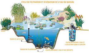 installer et construire un bassin bassin a poisson bassin de jardin et plante bassin
