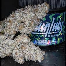 Alien Labs Alien Mints Indoor Weedmaps