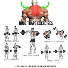 huge traps workout step by step tutorial traps workout