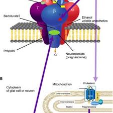 The recommended dose is 50mg (1 pill) 3 times a day or 100mg (2 pills) 2 times a day. Pdf Etifoxine For Pain Patients With Anxiety