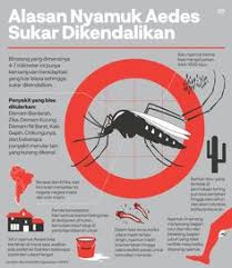 Keren poster nyamuk kartun koleksi poster. Rudi Safrudin Rsafrudin0857 Profil Pinterest