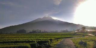 Rute menuju kebun teh medini rombongan berangkat dari museum ronggowarsito. Diganggu Penunggu Gunung Ungaran Bertemu Rombongan Perempuan Mandi Di Hutan