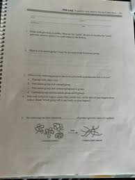 Latent Fingermark On White Copy Paper Treated With Nile Blue,... | Download  Scientific Diagram