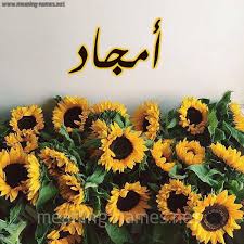 أمجاد شكل 17 صوره دوار الشمس للإسم بخط رقعة كتابة على الورد 2021