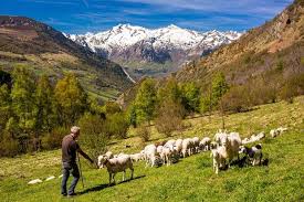 Les Pyrenees En Majeste Pics Enneiges Bastides Flamboyantes Pays Cathare En 2020 Pyrenees Pays Cathare Hautes Pyrenees