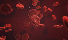 Image result for Rh Sensitization