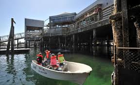 Point Defiance Marina Metro Parks