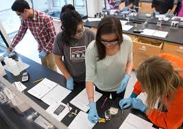Syracuse university rankings, programs, and admission process. Syracuse University Retains Top Tier Research Ranking In Latest Carnegie Classification Syracuse University News