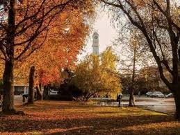 Universidad de concepción (udec), is a traditional chilean private university, the work of the penquista community, one of the most traditional and prestigious in its country, considered complex due to its extensive research in the various areas of knowledge. El Campus Central De La Universidad De Concepcion Como Parque Urbano De La Ciudad