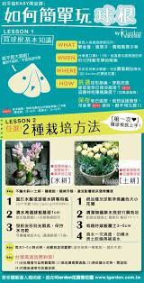 圖解 第一次玩球根就上手 哪裡買球根 土耕水耕如何種球根 球根花卉照顧方式 園藝部落格 igarden 花寶愛花園園藝文摘plus hydroponics hydroponic growing hydroponics diy