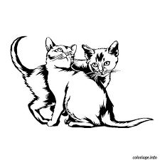 Coloriage Chaton Et Chat Dessin A Imprimer Coloriage Chaton Chat A Colorier Coloriage Chat