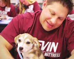 A Dog in Need Finds a Bright Future