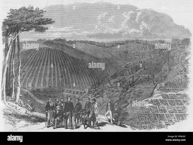 Nilgiri hills Black and White Stock Photos & Images - Alamy