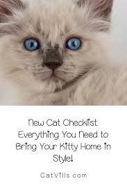 Catvills Catvills In 2020 Cute Baby Animals Baby Kittens Cats