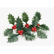6 Feuilles De Houx Nature Pour Gateau Feuille Houx Vert Feter Et Recevoir