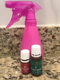 To make this bait, you'll need to dissolve the salt in a bowl of water. Pin On Essential Oils