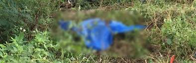 La mujer asesinada por policías en tulum residía desde hace 3 años en méxico, con una visa humanitaria y sus hijas quién era victoria, la mujer asesinada por policías en tulum. Matan A Golpes A Mujer En Tulum Quintopoderqrp Com