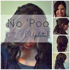 No Poo Update This Blogger Has Not Shampooed Her Hair In 10 Months Good Alternative To Expensive Organic Shampoos Hair Beauty Diy Hairstyles Beautiful Hair