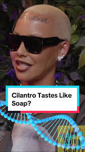 Cilantro Tastes Like Soap? 🤣 #cilantro #cilantrotasteslikesoap #amberrose  #kingbach #funny
