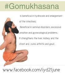 Gaumukh Aasna Hatha Yoga Poses Ramdev Yoga Yoga Teacher Training
