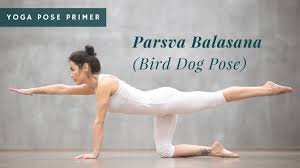 Yoga Pose Primer Parsva Balasana Bird Dog Pose Yogauonline Dog Poses Yoga Poses Pictures Yoga Dog Pose